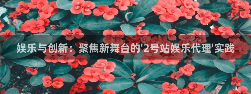 永信贵宾会手机版：娱乐与创新：聚焦新舞台的\'2号站娱乐代理\'实践