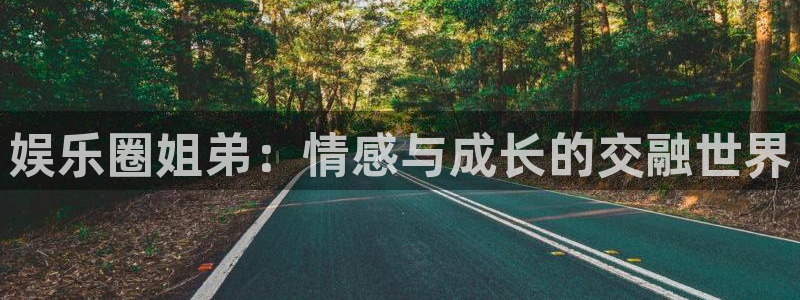 永信贵宾会官网217：娱乐圈姐弟：情感与成长的交融世界