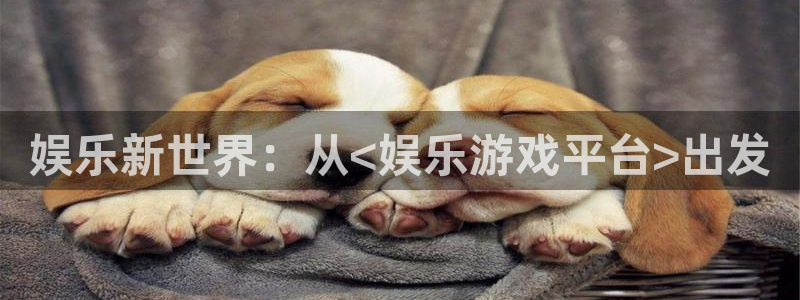 永信贵宾会网址：娱乐新世界：从<娱乐游戏平台>出发