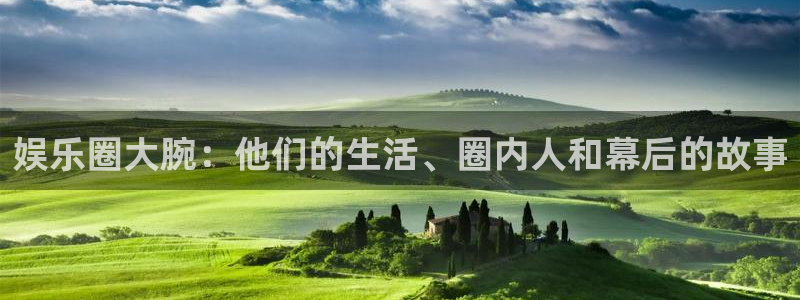 永信贵宾会：娱乐圈大腕：他们的生活、圈内人和幕后的故事