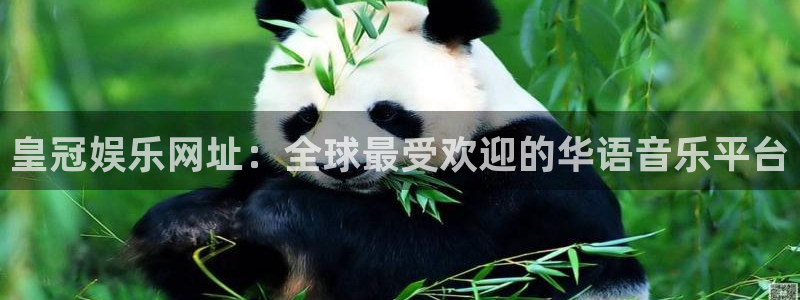永信贵宾会优惠大厅：皇冠娱乐网址：全球最受欢迎的华语音乐平台