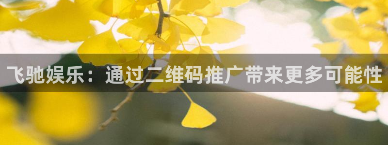 永信贵宾会信誉好不：飞驰娱乐：通过二维码推广带来更多可能性