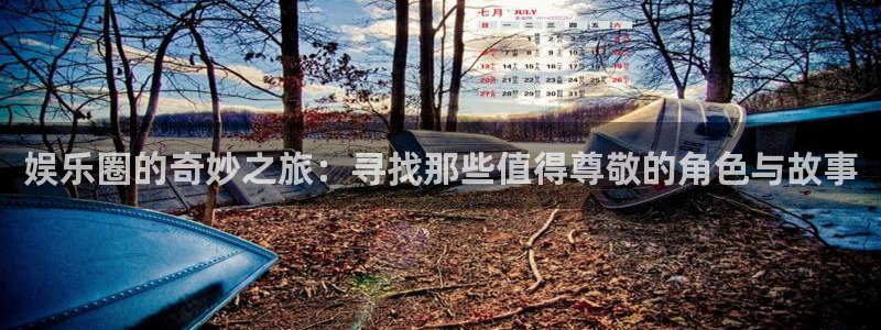 永信贵宾会信誉好不：娱乐圈的奇妙之旅：寻找那些值得尊敬的角色与故事