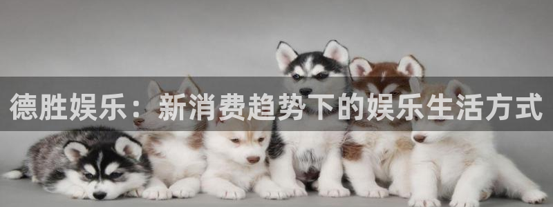 永信贵宾会：德胜娱乐：新消费趋势下的娱乐生活方式