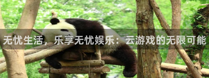 永信贵宾会官网217：无忧生活，乐享无忧娱乐：云游戏的无限可能